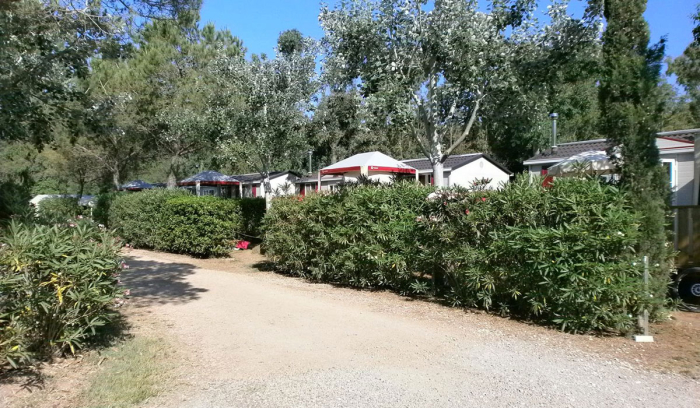 Camping - Marina di Bibbona - Toscana - Camping Free Time - Image #8