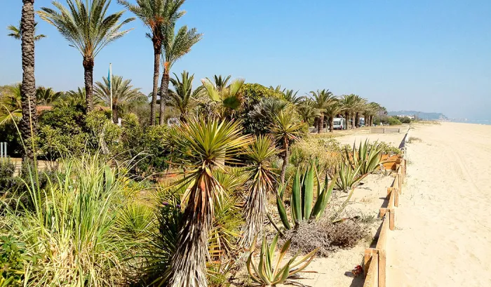 Camping - Creixell - Costa Dorada - Gavina