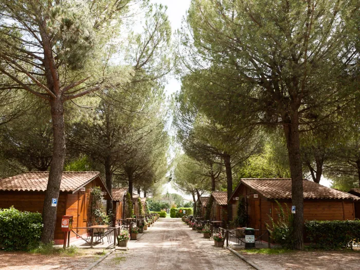 Camping - Assise - Ombrie - Green Village Assisi