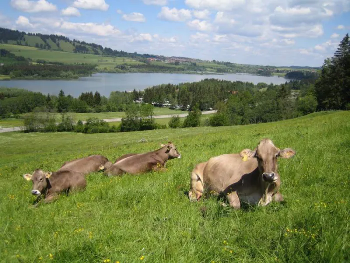 Camping - Wertach - Bavière - Grüntensee