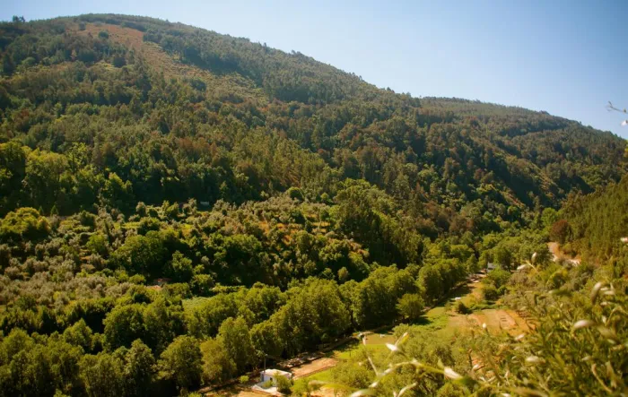 Camping - Góis - Centro - Góis Camping