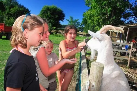 Camping - Pontorson - Basse-Normandie - Haliotis