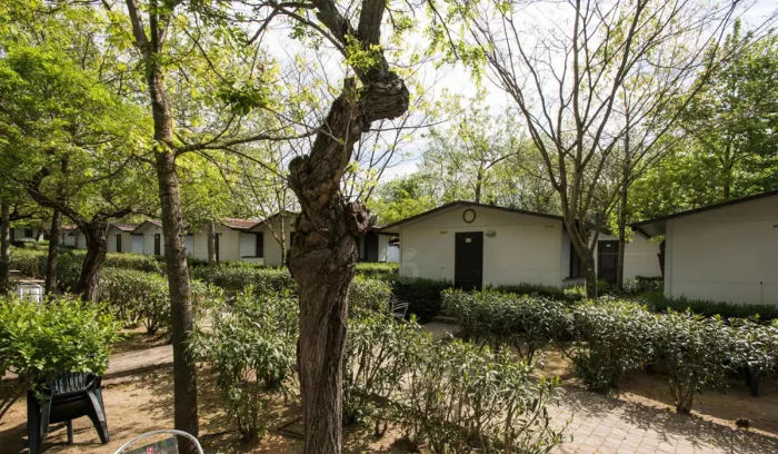 Camping - Rome - Latium - Happy Village Roma