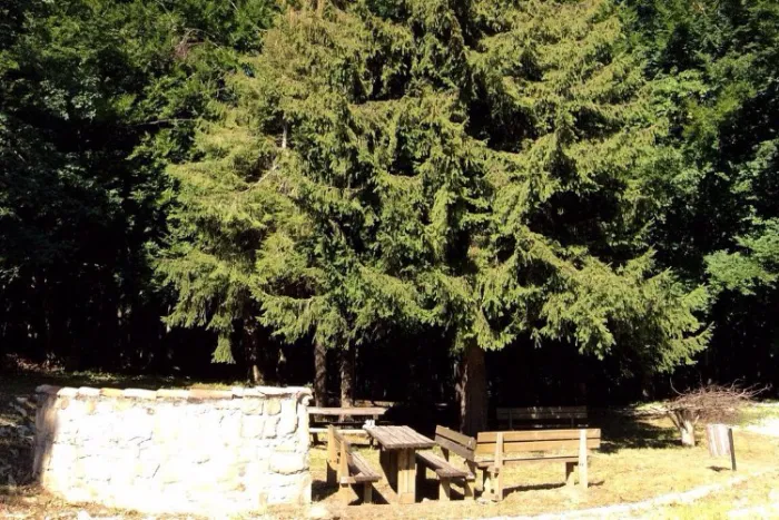 Camping - Teramo - Abruzzes - Il Ceppo