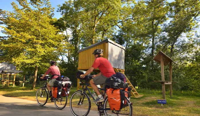 Camping - Saumur - Pays de Loire - Ile d'Offard