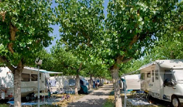Camping - Riccione - Emilie Romagne - International Riccione Village
