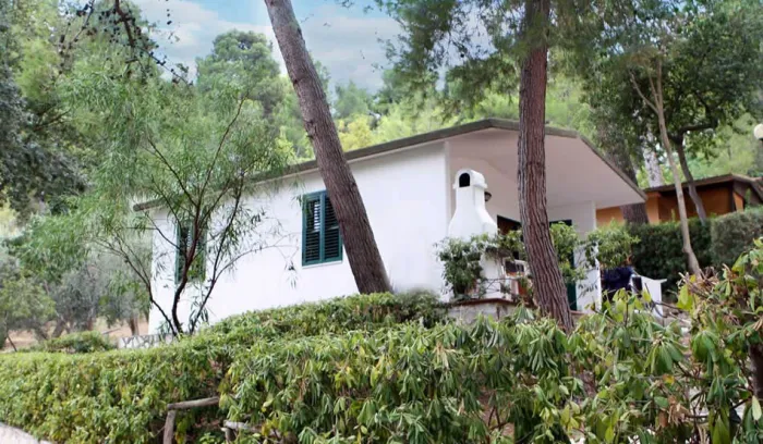 Camping - Vico del Gargano - Pouilles - Internazionale San Menaio