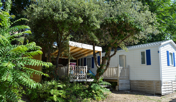 Camping - Saint-Georges-d'Oléron - Poitou-Charentes - L'Anse des Pins - Image #15
