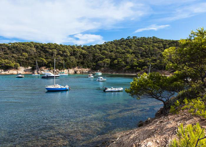 Camping - Martigues - Provence-Alpes-Côte d'Azur - L'Arquet - Côte Bleue - Image #11