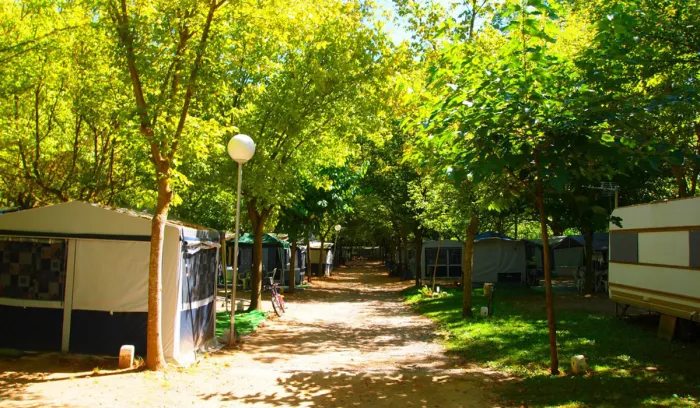 Camping - Sant Quirze Safaja - Catalogne - L'Illa