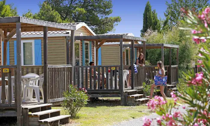 Camping - Villeneuve-lès-Avignon - Languedoc-Roussillon - L'île des Papes