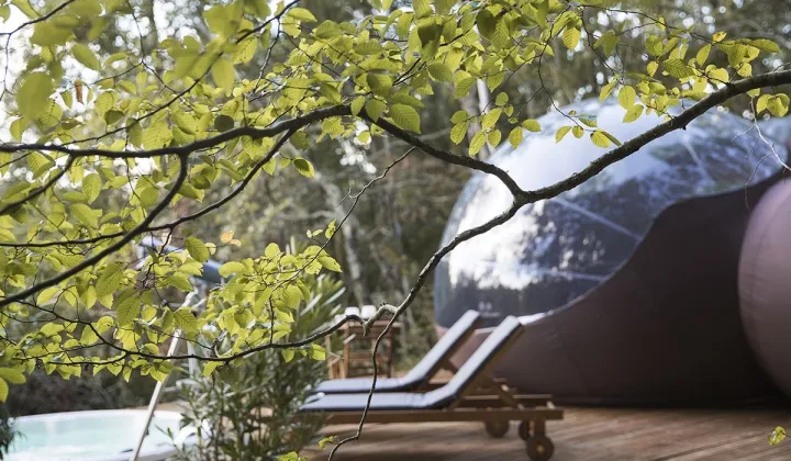 Camping - Carcans - Aquitaine - La Chrysalide -  Château de Saint-Martin