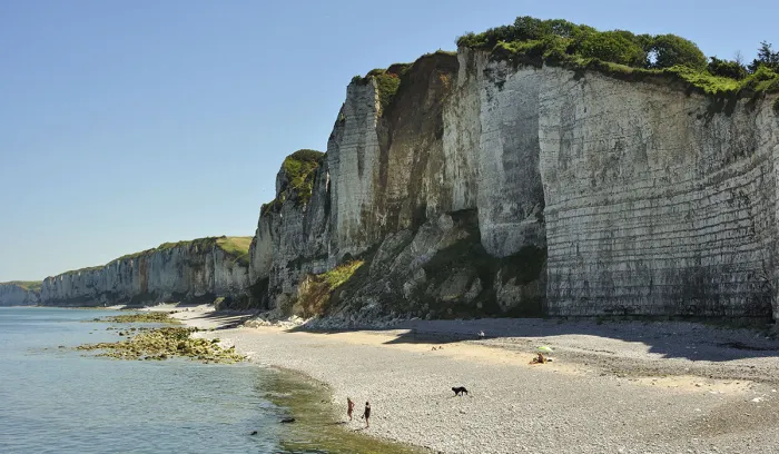 Camping - Yport - Haute-Normandie - La Chênaie