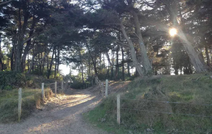 Camping - Noirmoutier-en-l'Île - Pays de Loire - La Clère