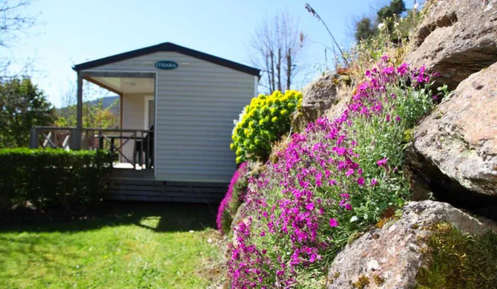 Camping - Saint-Nectaire - Auvergne - La Clé des Champs
