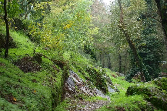 Camping - Lanzahíta - Castille-et-León - La Eliza