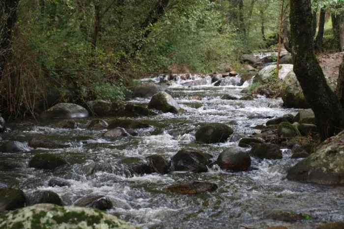 Camping - Lanzahíta - Castille-et-León - La Eliza