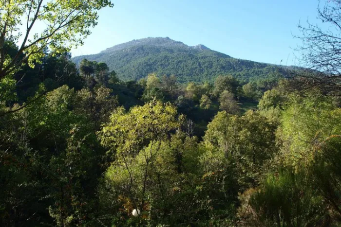 Camping - Lanzahíta - Castille-et-León - La Eliza