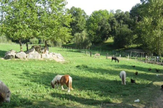 Camping - Urt - Aquitaine - La Ferme des 4 Chênes