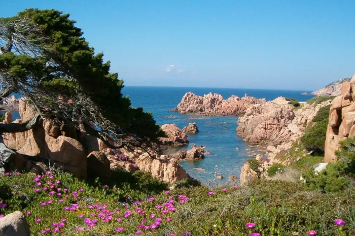 Camping - Valledoria - Sardaigne - La Foce