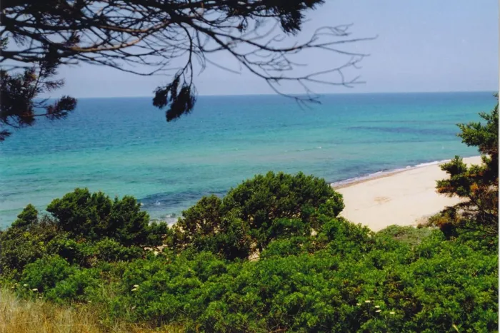 Camping - Valledoria - Sardaigne - La Foce