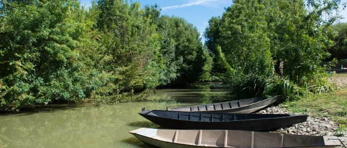 Camping - La Tranche-sur-Mer - Pays de Loire - La Grière