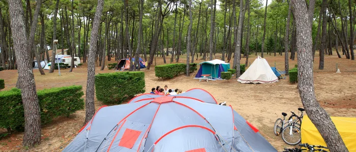 Camping - La Tranche-sur-Mer - Pays de Loire - La Grière