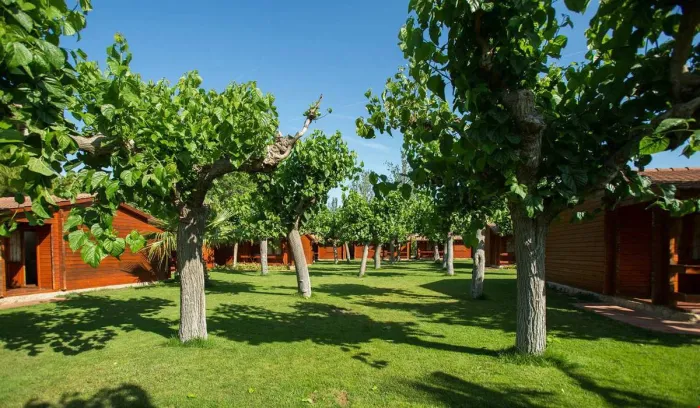 Camping - Cambrils - Costa Dorada - La Llosa