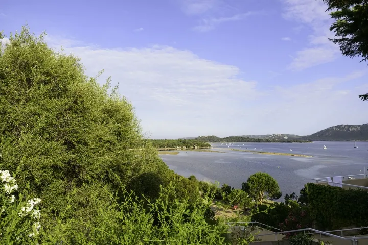 Camping - Porto-Vecchio - Corse - La Pioppa