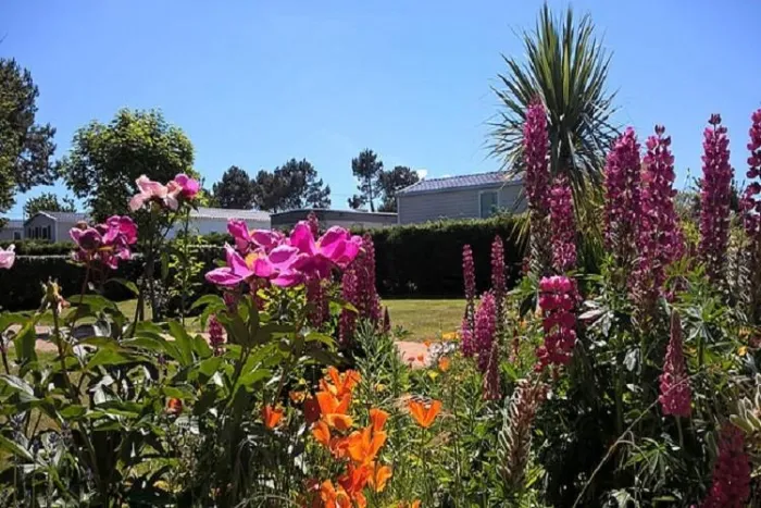 Camping - Fermanville - Basse-Normandie - La Plage