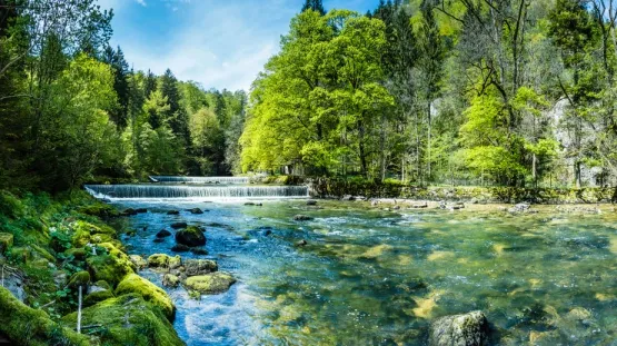 Camping - Ounans - Franche-Comté - La Plage Blanche