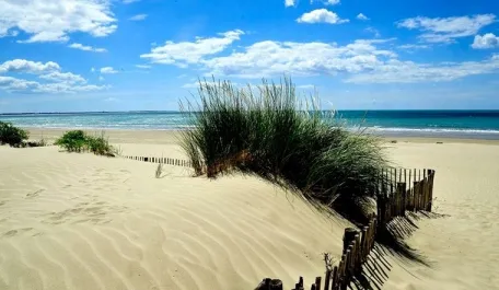 Camping - Portiragnes - Languedoc-Roussillon - La Plage du Midi