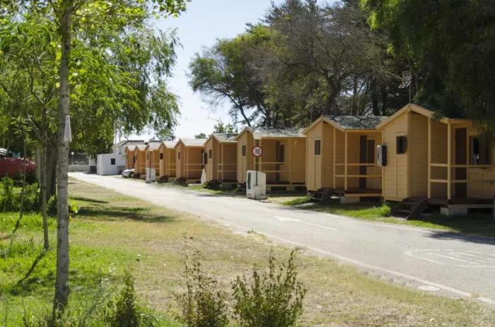 Camping - Chiclana de la Frontera - Andalousie - La Rana Verde