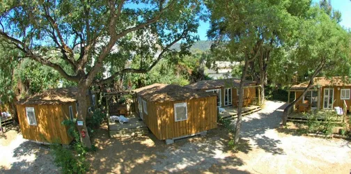 Camping - Cavalaire-sur-Mer - Provence-Alpes-Côte d'Azur - La Treille
