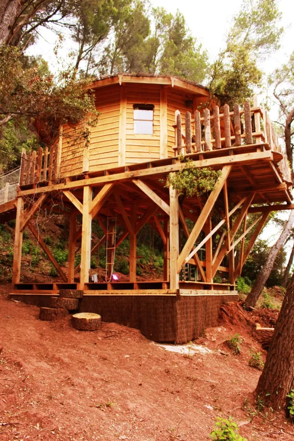 Camping - Carnoules - Provence-Alpes-Côte d'Azur - La Tuilière