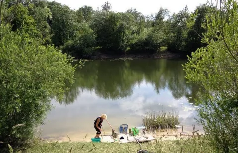 Camping - Conflans-sur-Seine - Champagne-Ardennes - La Vallée de la Seine