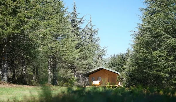 Camping - Montloué - Languedoc-Roussillon - La Vitarelle