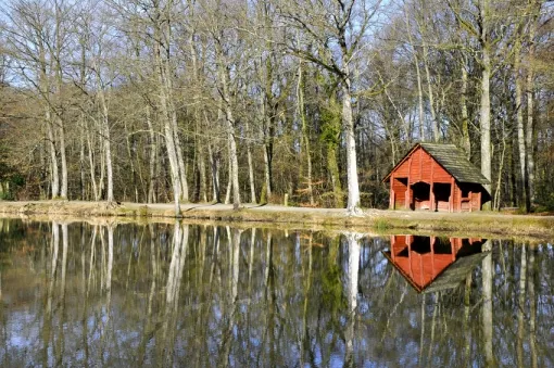 Camping Sillé-le-Guillaume - 2 - campings