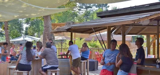 Camping - Cazaubon - Midi-Pyrénées - Les Rives du Lac