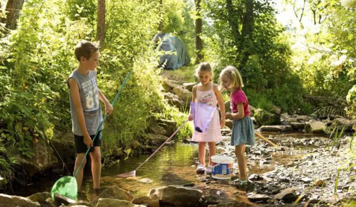Camping - stadtkyll - Rhénanie-Palatinat - Landal Wirfttal