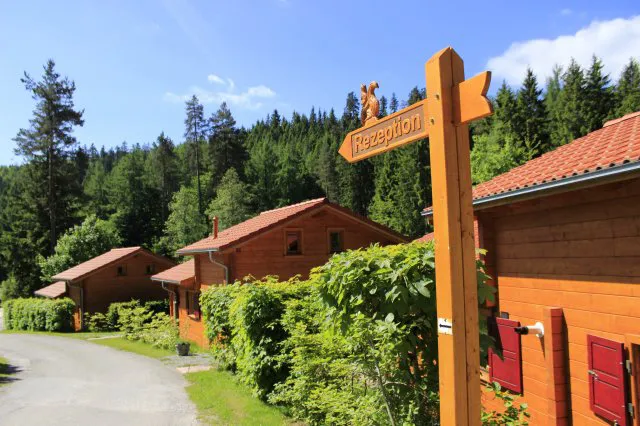 Camping - Freudenstadt - Bade-Wurtemberg - Langenwald