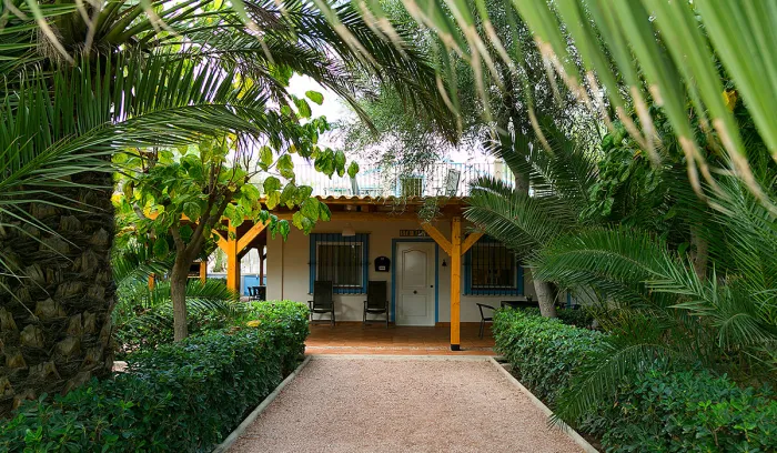 Camping - Crevillente - Communauté de Valence - Las Palmeras
