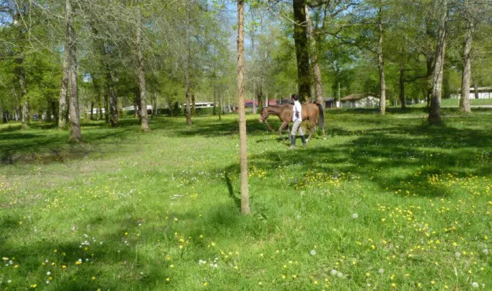 Camping - Dax - Aquitaine - Le Bascat