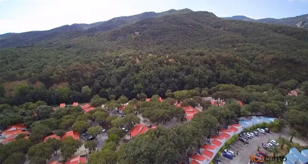 Camping - Argelès-sur-Mer - Languedoc-Roussillon - Le Bois Fleuri