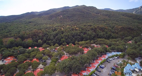 Camping - Argelès-sur-Mer - Languedoc-Roussillon - Le Bois Fleuri - Image #8