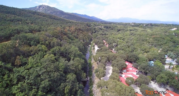 Camping - Argelès-sur-Mer - Languedoc-Roussillon - Le Bois Fleuri - Image #9