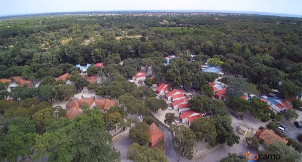 Camping - Argelès-sur-Mer - Languedoc-Roussillon - Le Bois Fleuri - Image #3