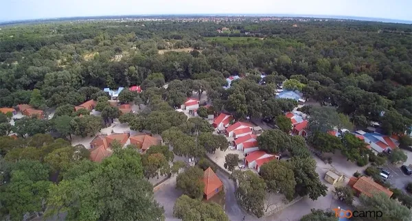 Camping - Argelès-sur-Mer - Languedoc-Roussillon - Le Bois Fleuri