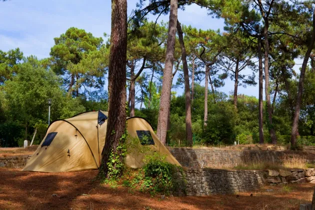 Camping - La Baule-Escoublac - Pays de Loire - Le Bois d'Amour