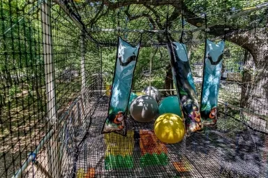 Camping - Argelès-sur-Mer - Languedoc-Roussillon - Le Bois de Valmarie